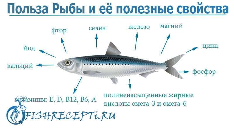польза рыбы